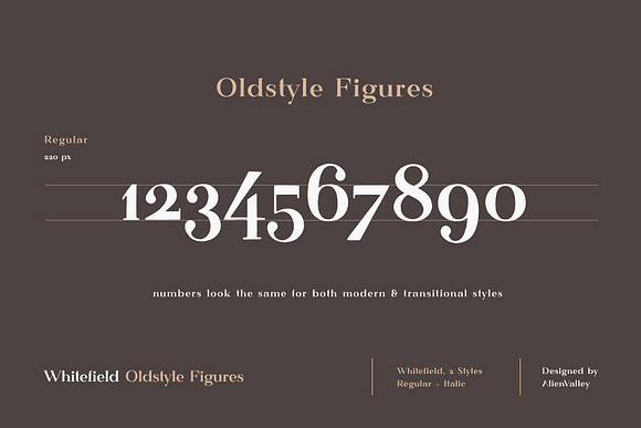 Whitefield - Handcrafted Serif in Serif Fonts - product preview 4