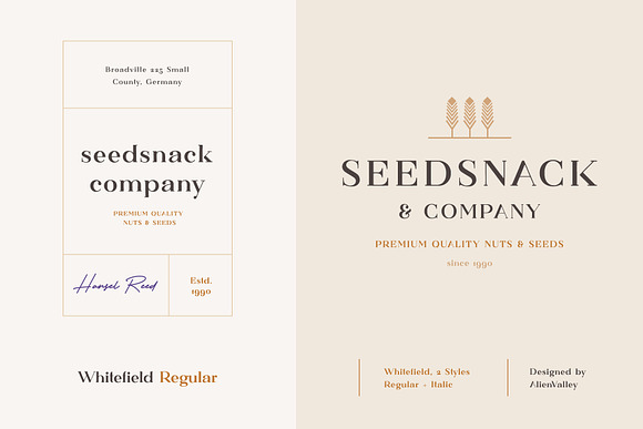 Whitefield - Handcrafted Serif in Serif Fonts - product preview 6