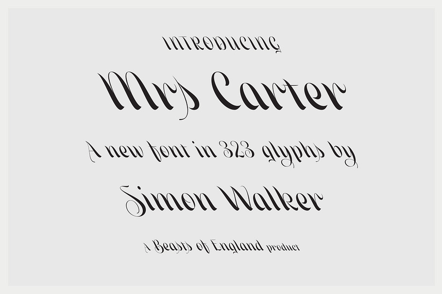 Mrs Carter in Fonts - product preview 8