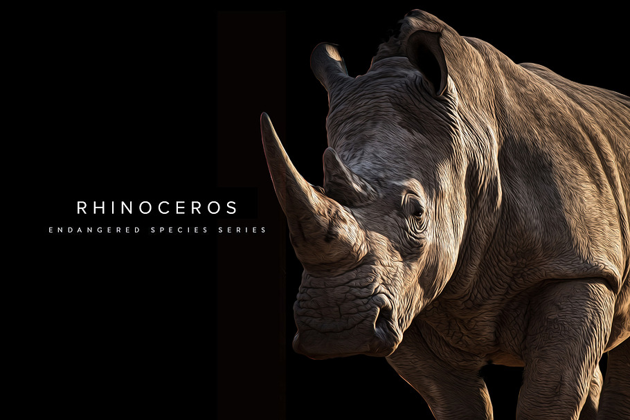 Endangered Rhinoceros Illustration in Illustrations - product preview 8