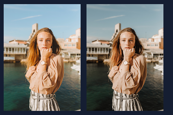 100+ Best Lightroom Presets Bundle in Add-Ons - product preview 13
