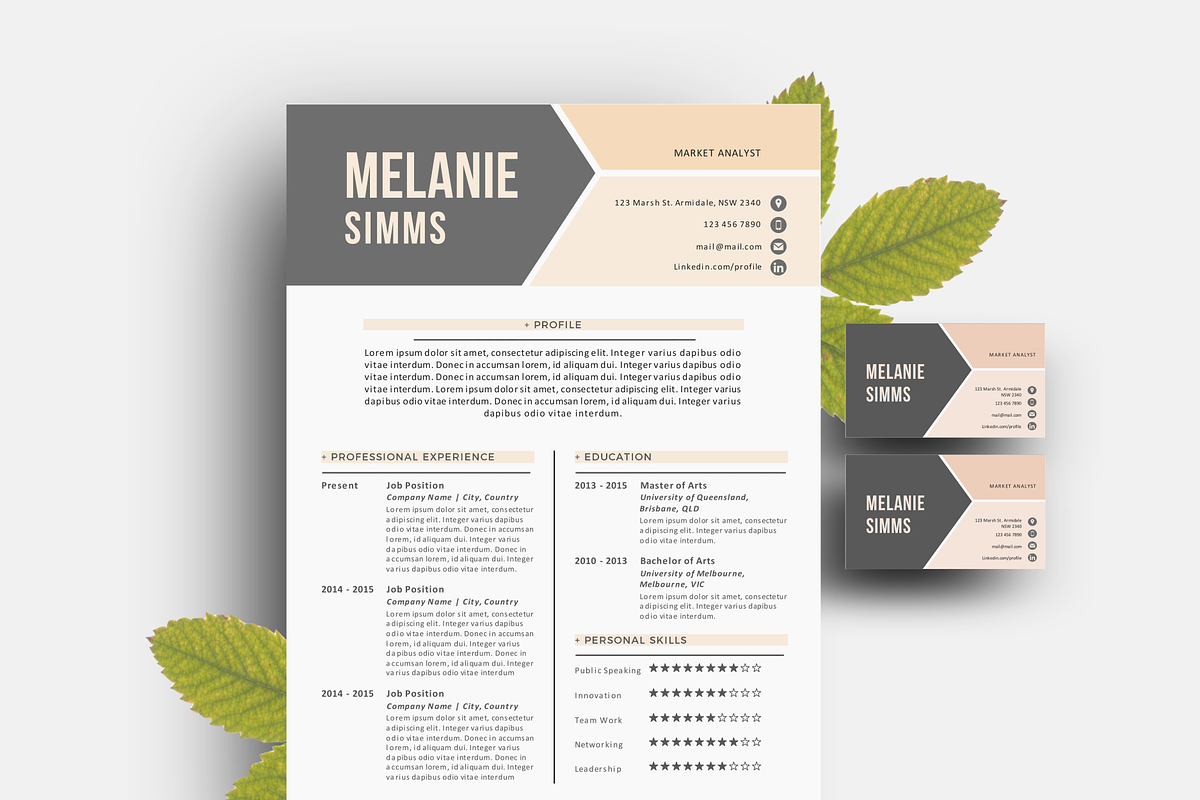 2 p resume pack for Word in Resume Templates - product preview 8