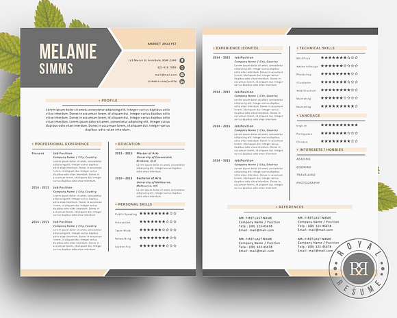 2 p resume pack for Word in Resume Templates - product preview 1