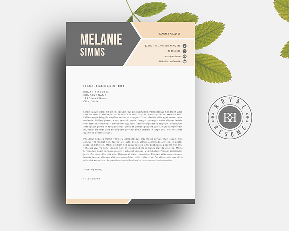 2 p resume pack for Word in Resume Templates - product preview 2