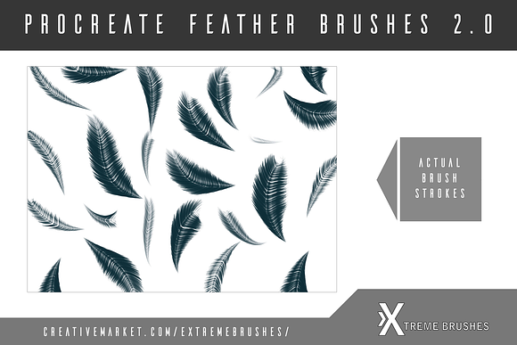 Procreate Feather Brushes 2.0! in Add-Ons - product preview 1