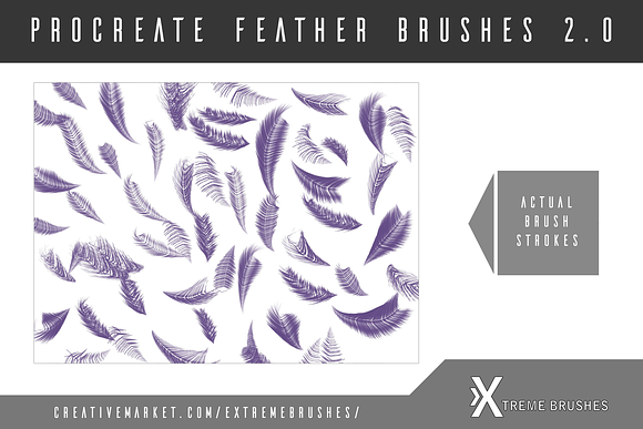 Procreate Feather Brushes 2.0! in Add-Ons - product preview 2