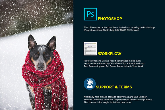 Soft Snowfall Photoshop Action in Add-Ons - product preview 1