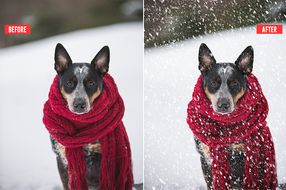 Soft Snowfall Photoshop Action in Add-Ons - product preview 8