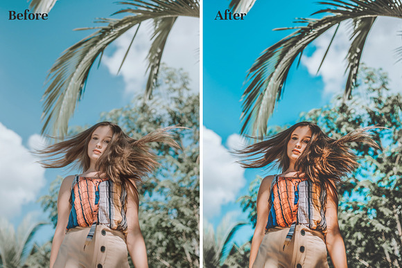 Palm Springs - Lightroom Presets in Add-Ons - product preview 1