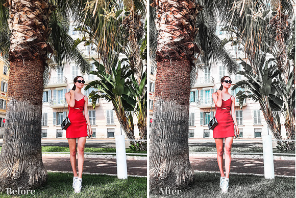 Palm Springs - Lightroom Presets in Add-Ons - product preview 3