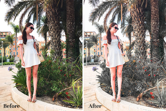 Palm Springs - Lightroom Presets in Add-Ons - product preview 4