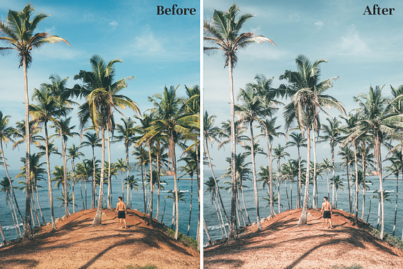 Palm Springs - Lightroom Presets in Add-Ons - product preview 5