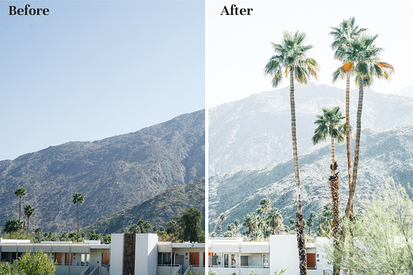 Palm Springs - Lightroom Presets in Add-Ons - product preview 6