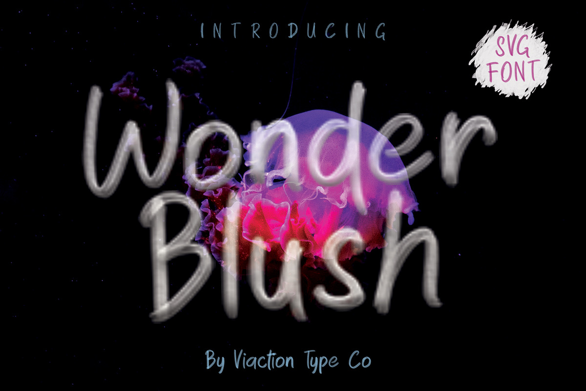 Wonder Blush in Display Fonts - product preview 8