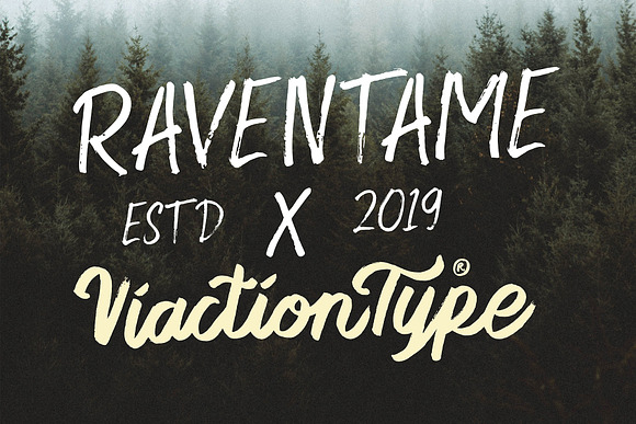 Raventame in Display Fonts - product preview 9
