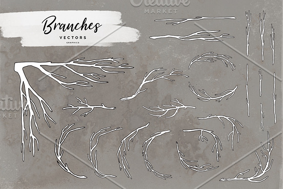 Branches Vectors (with outline) in Illustrations - product preview 1