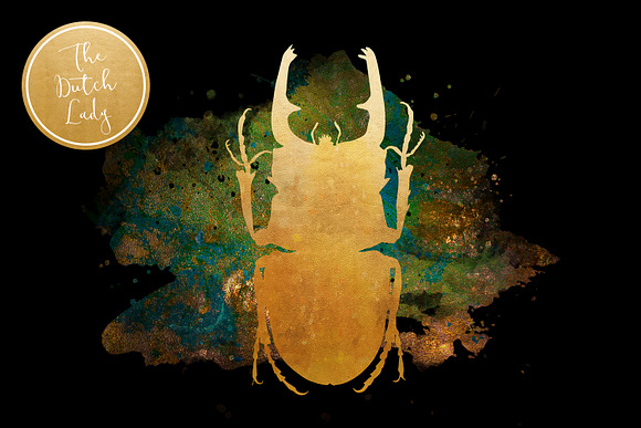 Scarabs & Beetles Clipart Set in Illustrations - product preview 1