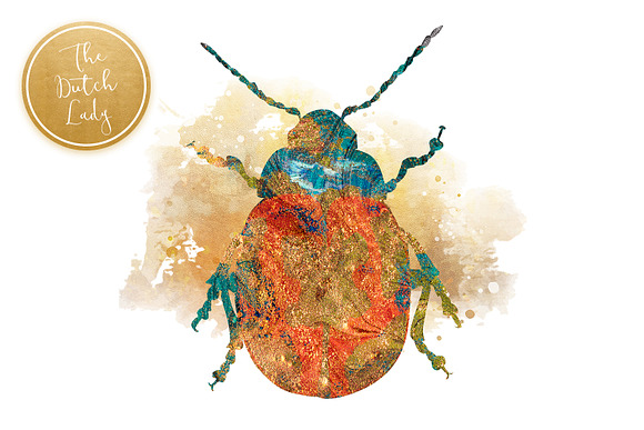 Scarabs & Beetles Clipart Set in Illustrations - product preview 2
