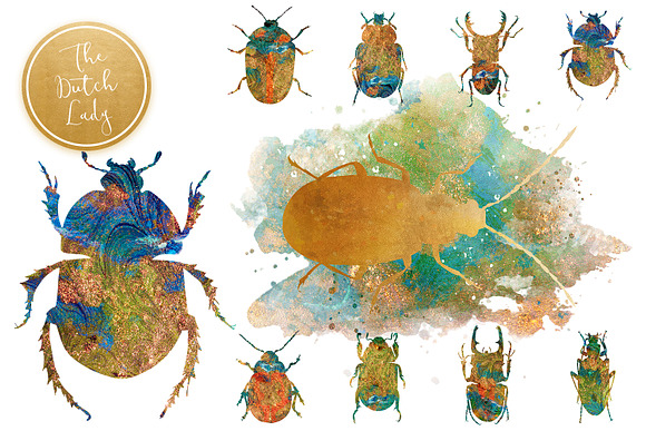 Scarabs & Beetles Clipart Set in Illustrations - product preview 3