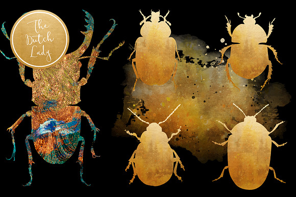 Scarabs & Beetles Clipart Set in Illustrations - product preview 4