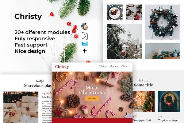 Christy –Christmas email template