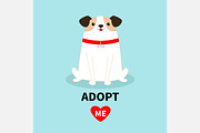Adopt me. Dog sitting. White puppy