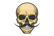 Human skull sketch engraving vector