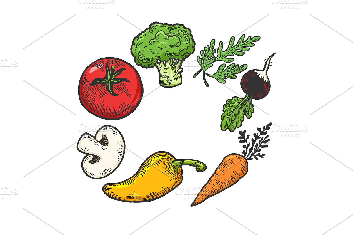 Vegetables sketch engraving vector in Illustrations - product preview 8