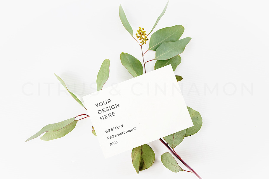 RSVP, Thank You Card, Logo Mockup in Print Mockups - product preview 8