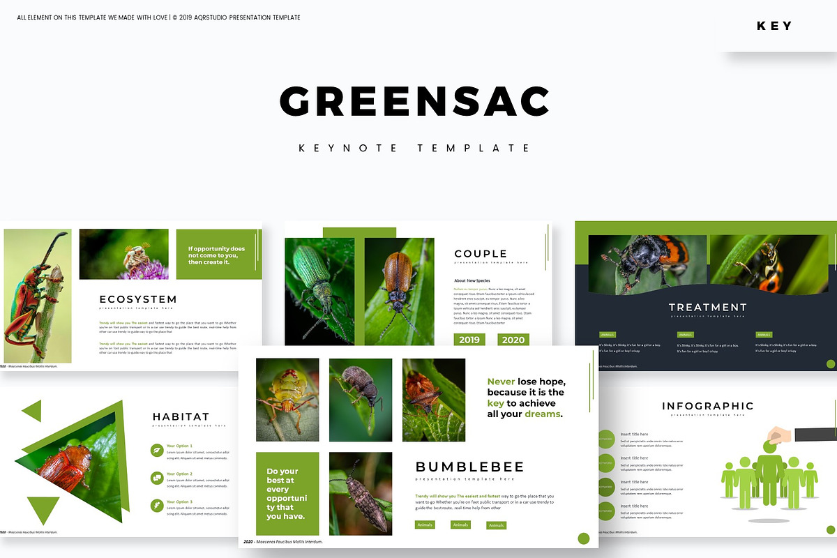 Greensac - Keynote Template in Keynote Templates - product preview 8