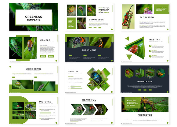 Greensac - Keynote Template in Keynote Templates - product preview 1