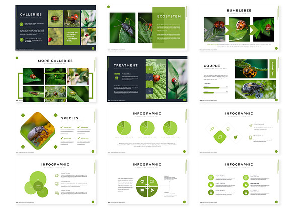 Greensac - Keynote Template in Keynote Templates - product preview 2
