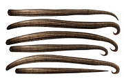 Set of dried organc vanilla sticks.