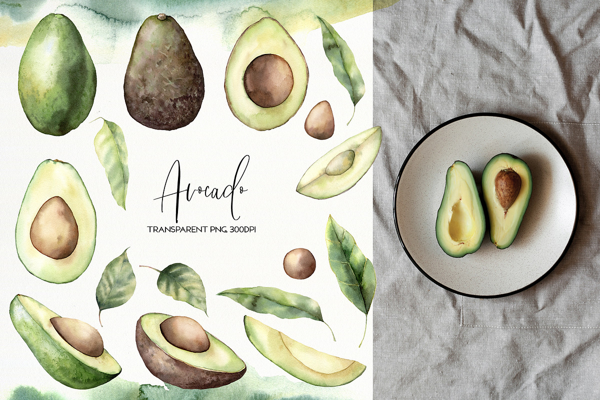Avocado. Graphic collection in Illustrations - product preview 8