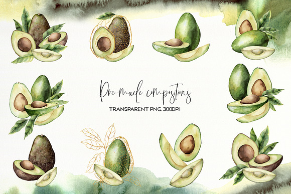 Avocado. Graphic collection in Illustrations - product preview 2