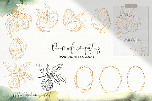 Avocado. Graphic collection in Illustrations - product preview 3