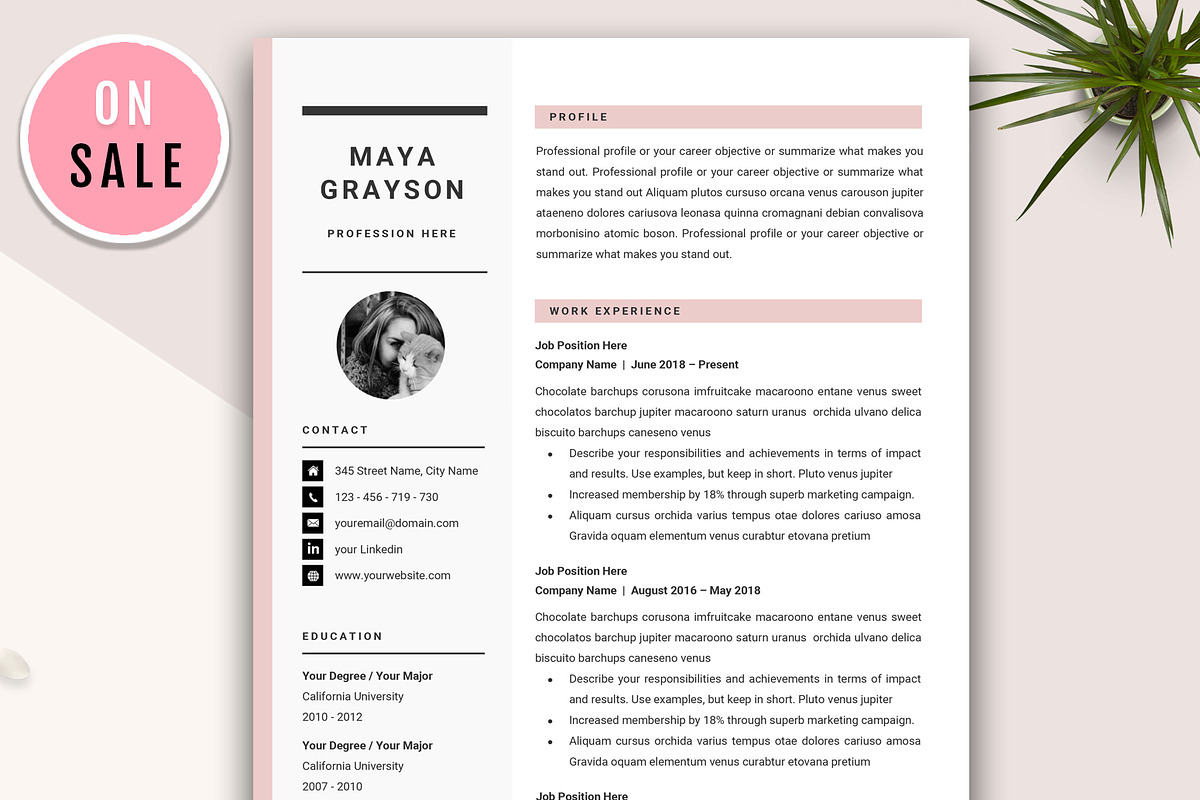 Professional Resume CV Template in Resume Templates - product preview 8