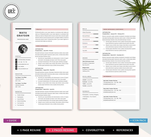 Professional Resume CV Template in Resume Templates - product preview 2