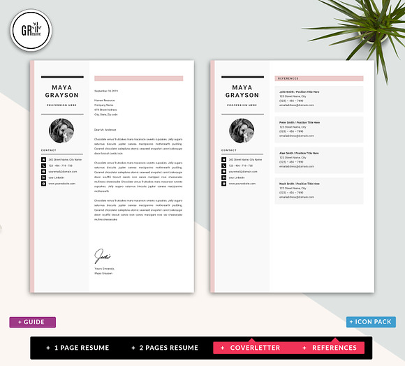 Professional Resume CV Template in Resume Templates - product preview 3