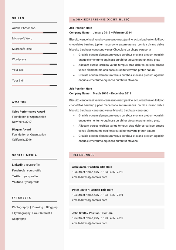 Professional Resume CV Template in Resume Templates - product preview 6