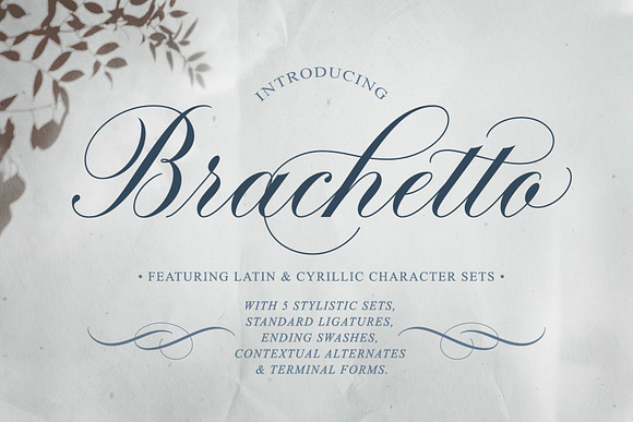 Brachetto Script Font in Script Fonts - product preview 12