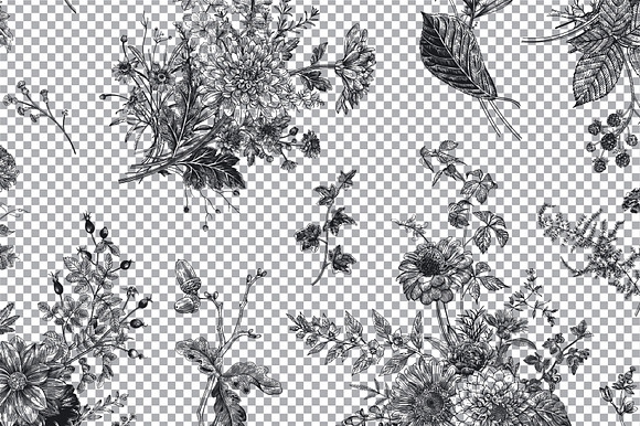 Autumn Garden. B&W in Illustrations - product preview 8