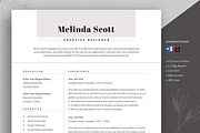 Resume Template Word and InDesign