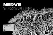 Nerve Textures