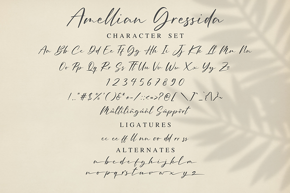 Amellian Gressida in Display Fonts - product preview 12