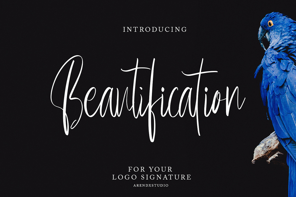 Beautification - Signature Font in Script Fonts - product preview 8