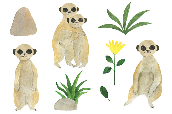 Set meerkats watercolor illustration in Illustrations - product preview 1