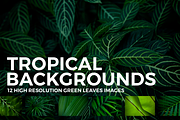 12 Tropical Leaves Backgrounds