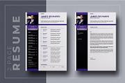 2 Page Resume Template