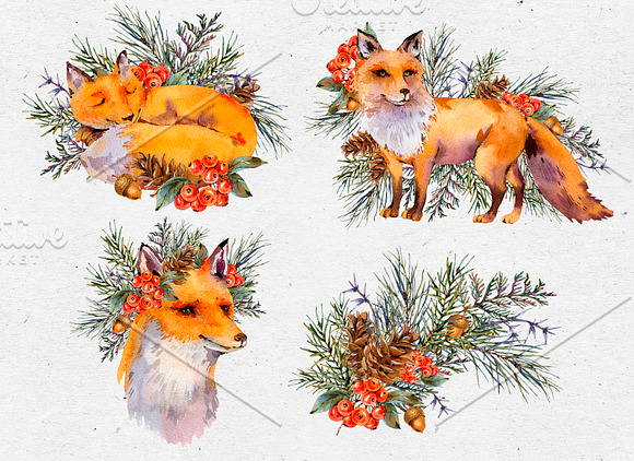 Watercolor Fox Woodland Clipart in Illustrations - product preview 1